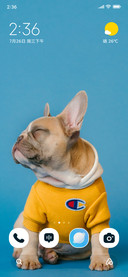 Yellow Pup