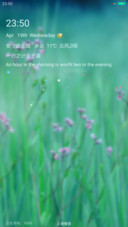 护眼绿草