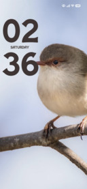 Soft Robin
