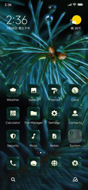 Pine