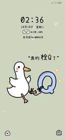 可爱鸭网络热梗
