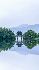 Hangzhou West Lake Summer Quyuan Wind Lotus