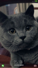 加菲猫%猫星人