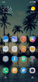 Beach coconut tree