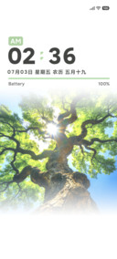 春日氛围 新生