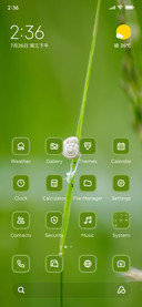 White Snail