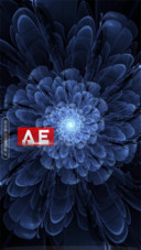 AE夜花