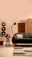 Fashion home-01