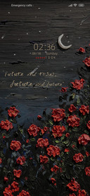 Night+rosev