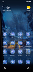 Winter Snowflakes