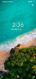 Pixel Experience Dual