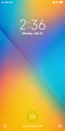 Pixel