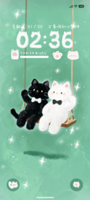 唱片小猫
