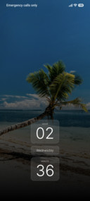 Island Breeze