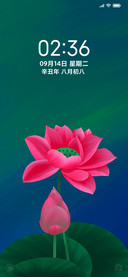 净美花开