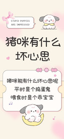 猪咪有什么坏心思
