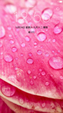 花儿与我有个约会