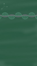 学而时习之
