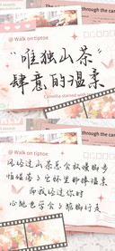 唯独山茶肆意的温柔