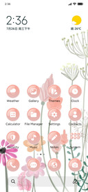 Spring Flower