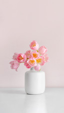 Vase with Beautiful Tulip Flowers on Table