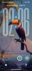 Carnival Toucan
