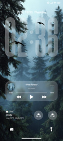 Forest OS