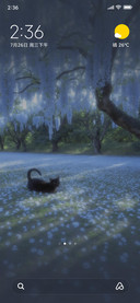 Cat in Blooms