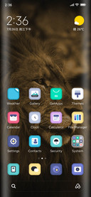 Lion of the Desert