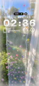 全局春日来信多壁纸