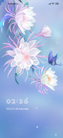 Dream yuhua