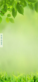 绿色护眼