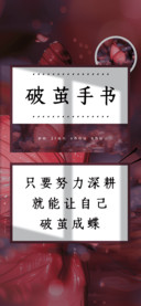 破茧手书