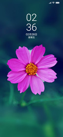 花开春天里