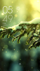 Winter Green