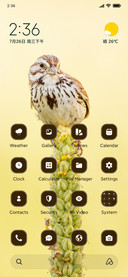 Sparrow