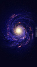星愿
