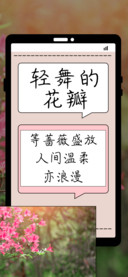 轻舞的花瓣
