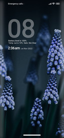 Flower_style