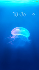 爱情海洋