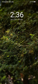 Bush_DWM2