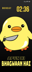 Memes duck