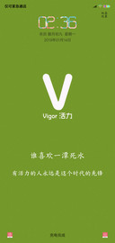 Vigor活力