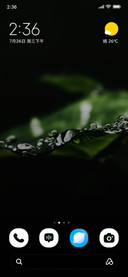 Silver Gleam