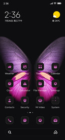Dark Fly