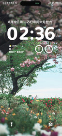 ins清新森系
