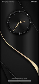 Gilt Black