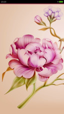 陌上花开