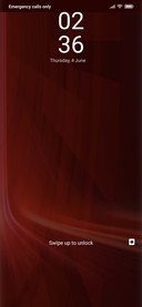 The Red Light