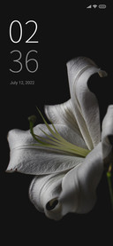 black and flower